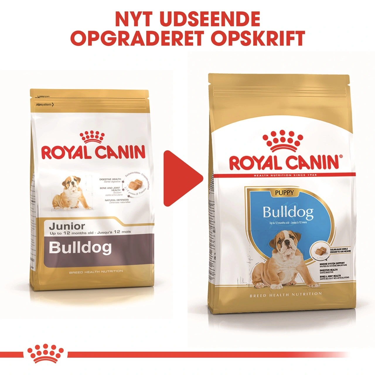 Royal Canin Bulldog Puppy 12 kg - tørfoder til hvalpe